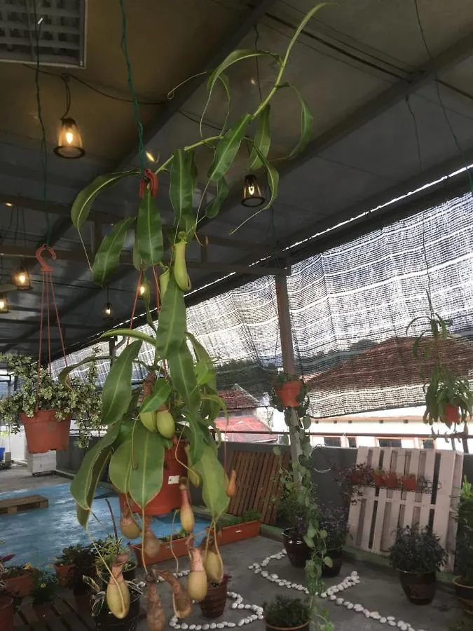 Anderson Hotel Ipoh